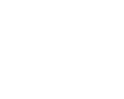 International IDEA