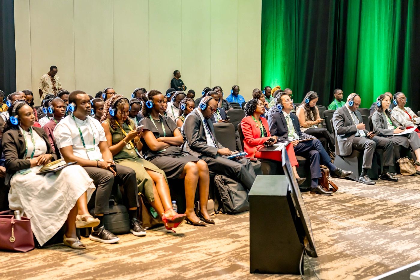 Plenary audience
